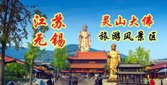 91操小b视频江苏无锡灵山大佛旅游风景区